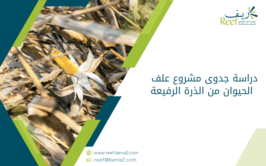 دراسة جدوى مشروع علف الحيوان من الذرة الرفيعة