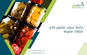 دراسة جدوى مشروع إنتاج مخللات متنوعة