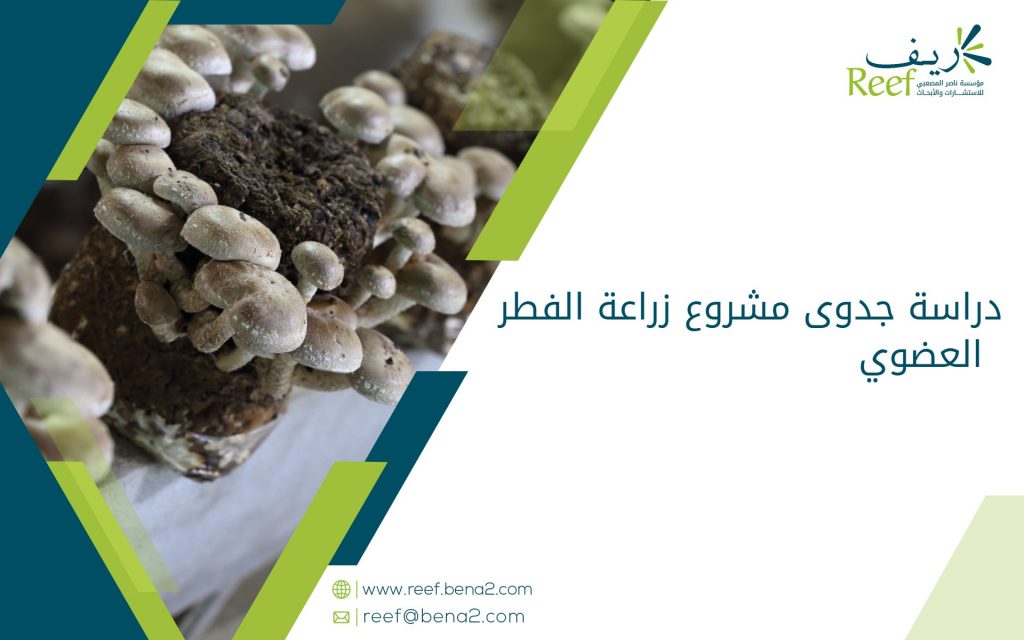 دراسة جدوى مشروع زراعة الفطر العضوي
