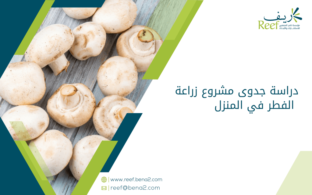 دراسة جدوى مشروع زراعة الفطر في المنزل