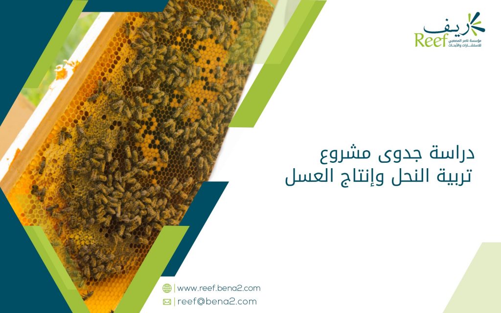 دراسة جدوى مشروع تربية النحل وإنتاج العسل