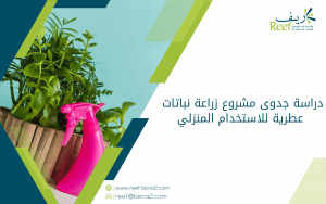 دراسة جدوى مشروع زراعة نباتات عطرية للاستخدام المنزلي