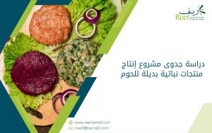 دراسة جدوى مشروع إنتاج منتجات نباتية بديلة للحوم