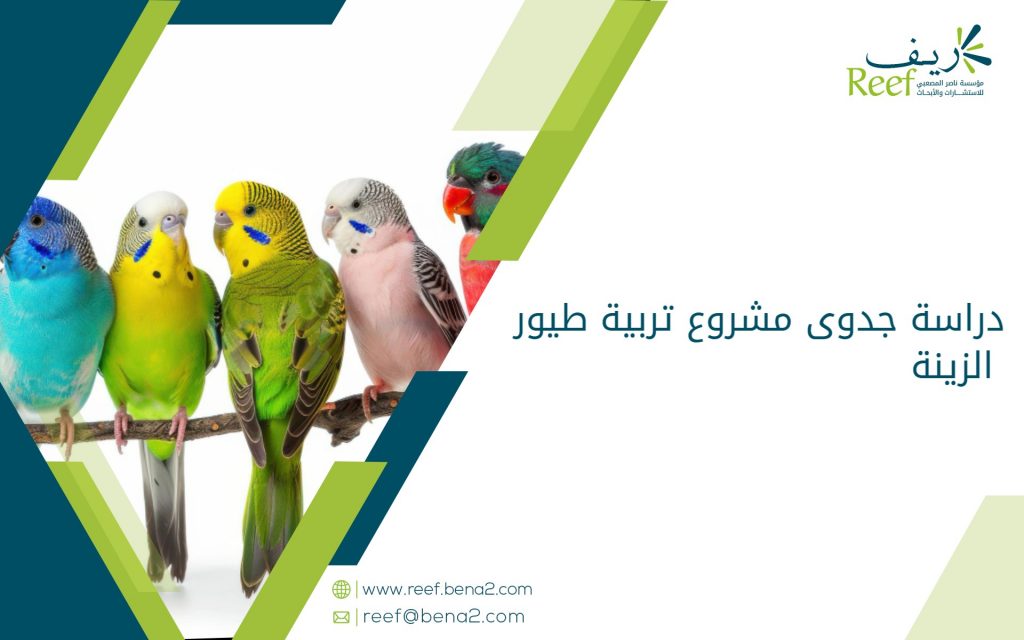 دراسة جدوى مشروع تربية طيور الزينة