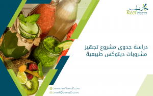 دراسة جدوى مشروع تجهيز مشروبات ديتوكس طبيعية