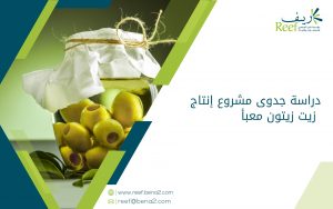 دراسة جدوى مشروع إنتاج زيت زيتون معبأ