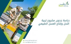 دراسة جدوى مشروع تربية النحل وإنتاج العسل الطبيعي