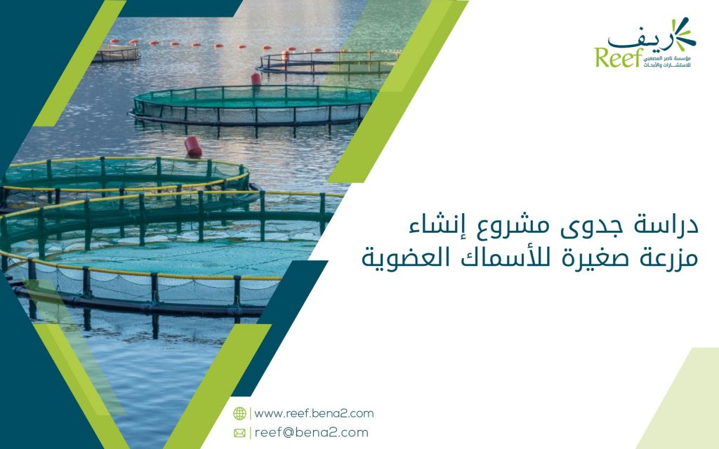 دراسة جدوى مشروع إنشاء مزرعة صغيرة للأسماك العضوية