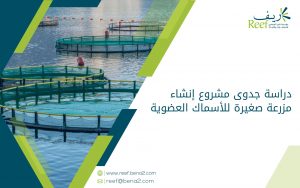 دراسة جدوى مشروع إنشاء مزرعة صغيرة للأسماك العضوية