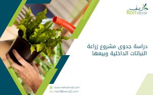 دراسة جدوى مشروع زراعة النباتات الداخلية وبيعها