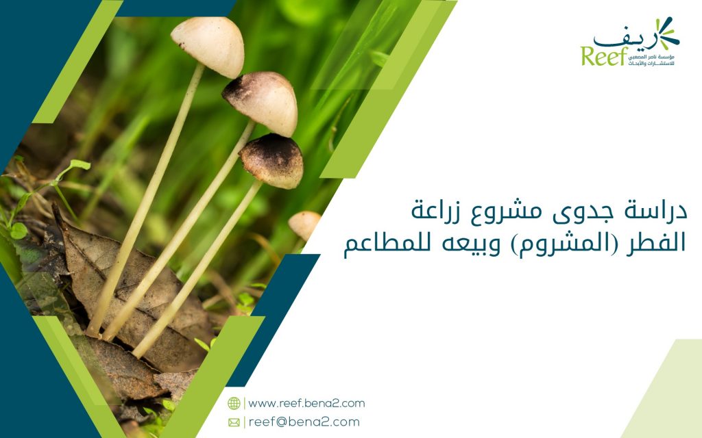 دراسة جدوى مشروع زراعة الفطر (المشروم) وبيعه للمطاعم