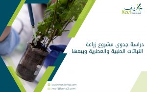 دراسة جدوى مشروع زراعة النباتات الطبية والعطرية وبيعها
