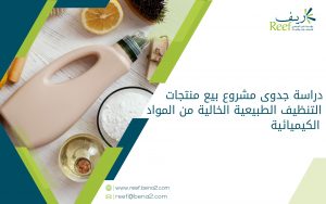دراسة جدوى مشروع بيع منتجات التنظيف الطبيعية الخالية من المواد الكيميائية
