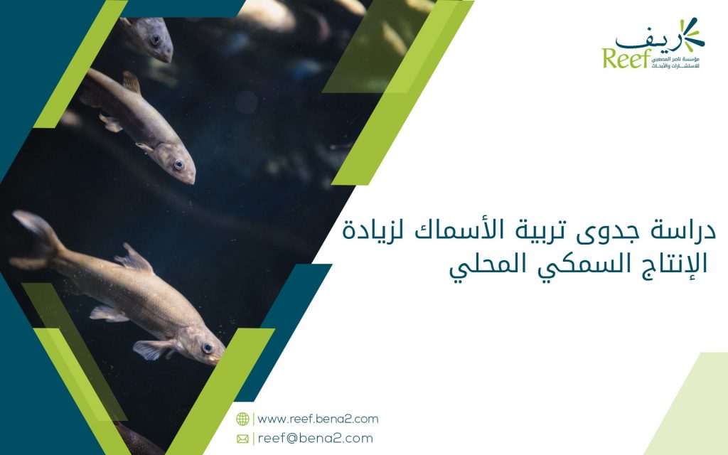 دراسة جدوى تربية الأسماك لزيادة الإنتاج السمكي المحلي