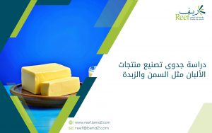 دراسة جدوى تصنيع منتجات الألبان مثل السمن والزبدة
