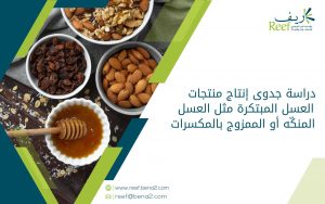 دراسة جدوى إنتاج منتجات العسل المبتكرة مثل العسل المنكّه أو الممزوج بالمكسرات