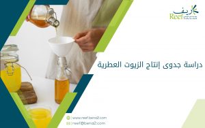 دراسة جدوى إنتاج الزيوت العطرية