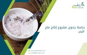 دراسة جدوى مشروع إنتاج ملح البحر