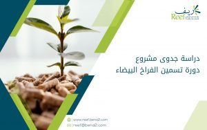 دراسة جدوى مشروع دورة تسمين الفراخ البيضاء