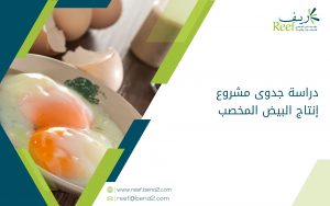 دراسة جدوى مشروع إنتاج البيض المخصب