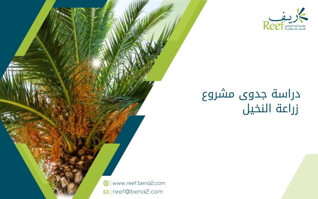دراسة جدوى مشروع زراعة النخيل