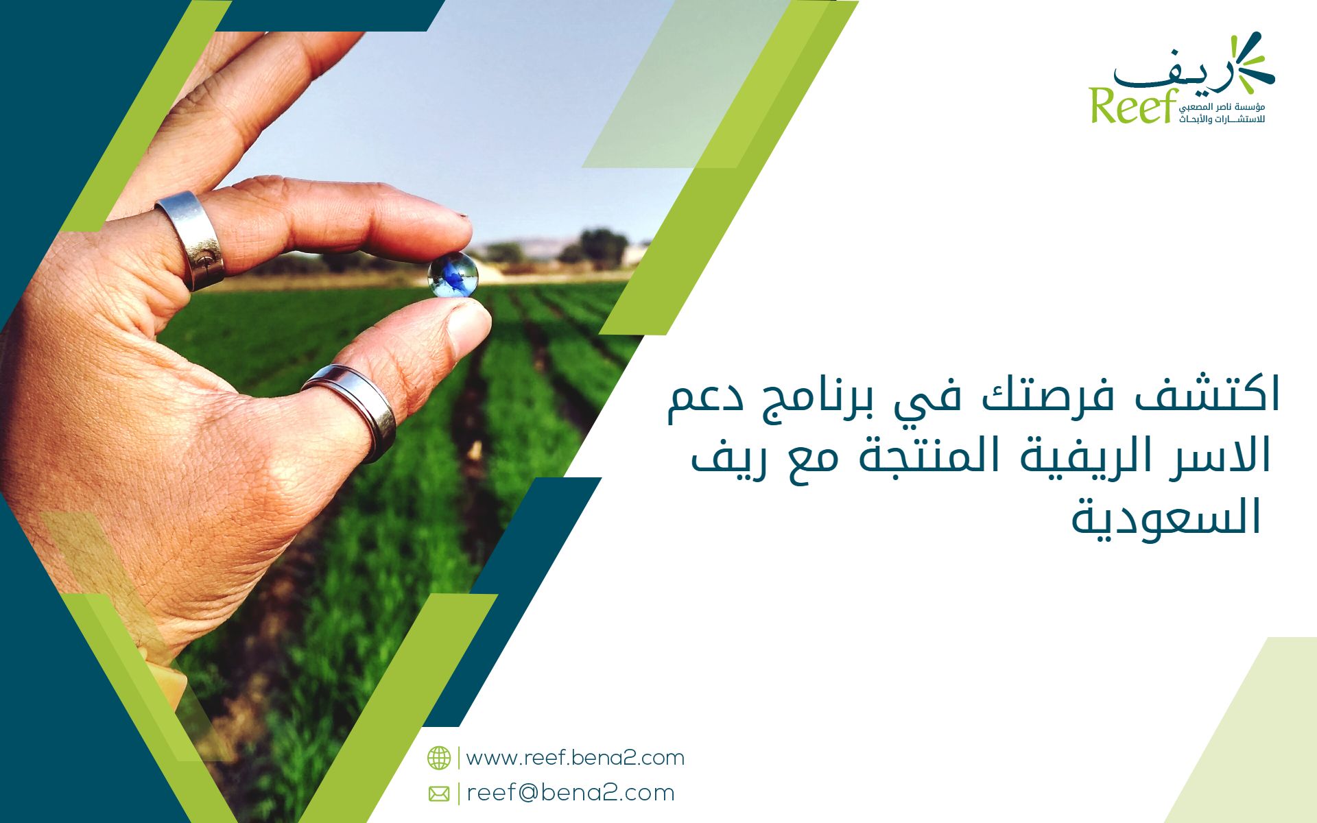 اكتشف فرصتك في برنامج دعم الاسر الريفية المنتجة مع ريف السعودية