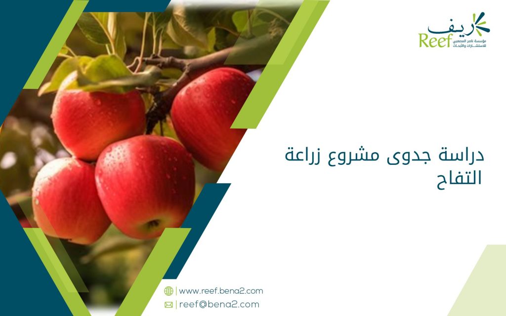 دراسة جدوى مشروع زراعة التفاح