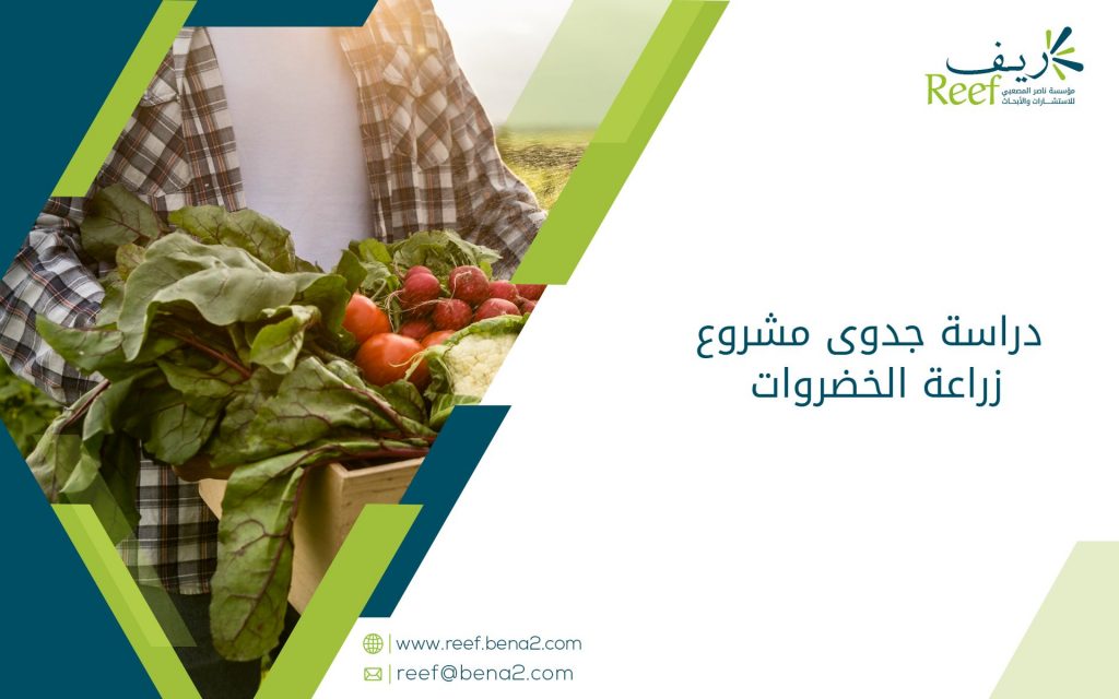 دراسة جدوى مشروع زراعة الخضروات