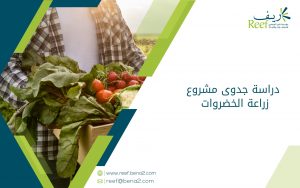 دراسة جدوى مشروع زراعة الخضروات