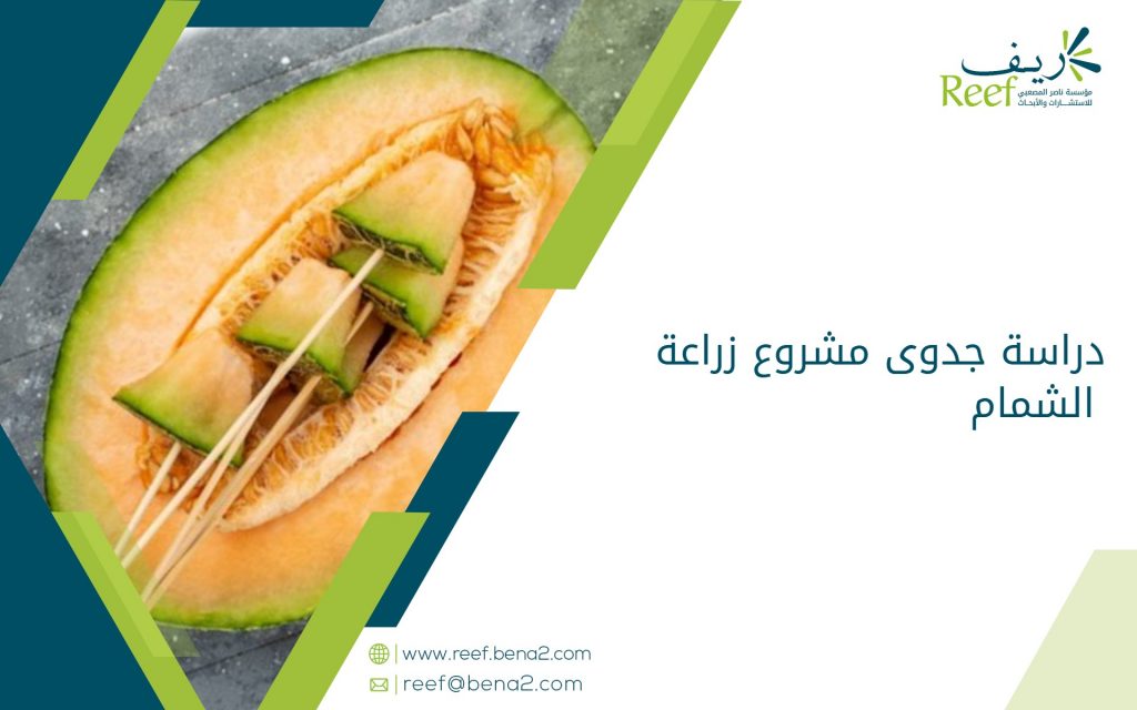 دراسة جدوى مشروع زراعة الشمام