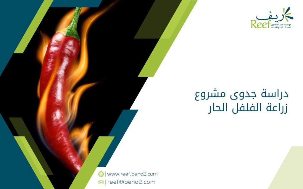 دراسة جدوى مشروع زراعة الفلفل الحار