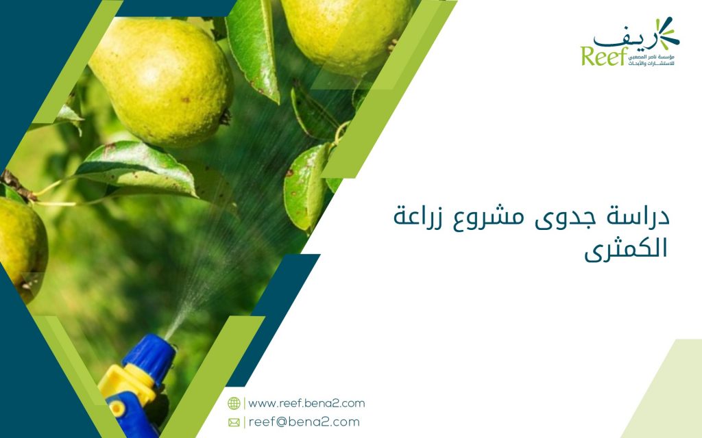 دراسة جدوى مشروع زراعة الكمثرى