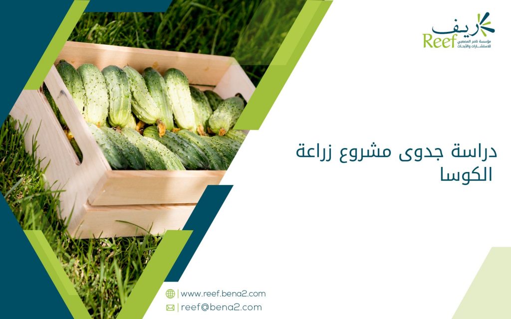 دراسة جدوى مشروع زراعة الكوسا