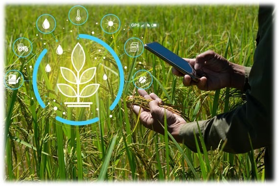 قطاع الزراعة والتنمية المستدامة