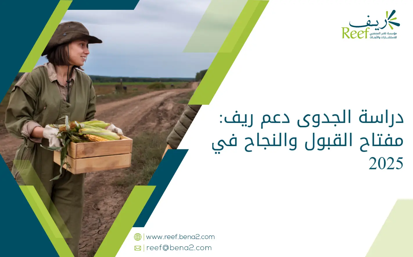 دراسة الجدوى دعم ريف: مفتاح القبول والنجاح في 2025