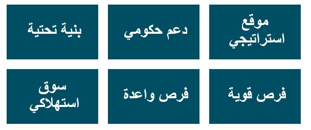 فوائد الاستثمار في المدينة المنورة